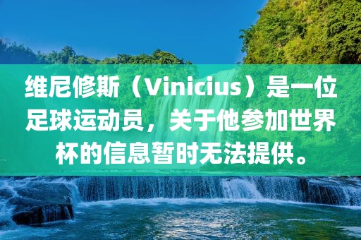 维尼修斯（Vinicius）是一位足球运动员，关于他参加世界杯的信息暂时无法提供。