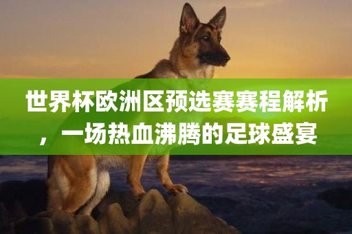 世界杯欧洲区预选赛赛程解析，一场热血沸腾的足球盛宴