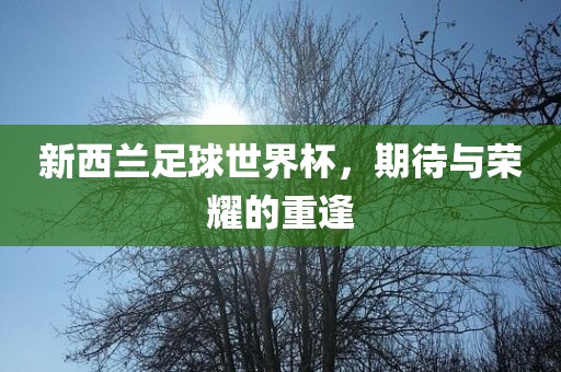 新西兰足球世界杯，期待与荣耀的重逢
