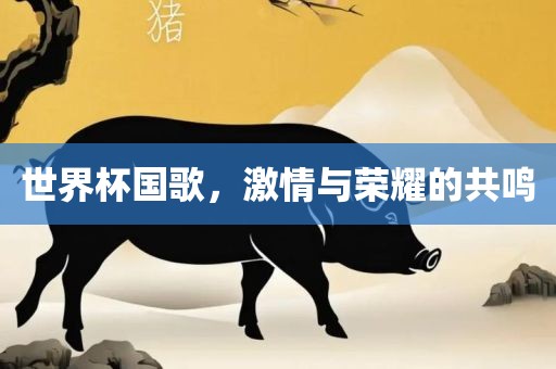 世界杯国歌，激情与荣耀的共鸣