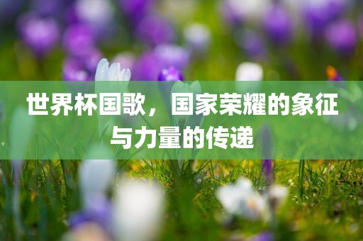 世界杯国歌，国家荣耀的象征与力量的传递