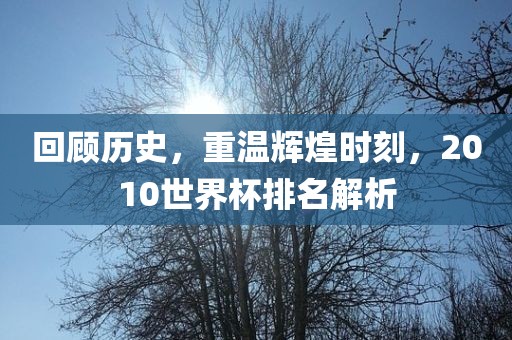 回顾历史，重温辉煌时刻，2010世界杯排名解析