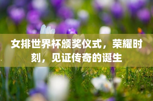 女排世界杯颁奖仪式，荣耀时刻，见证传奇的诞生