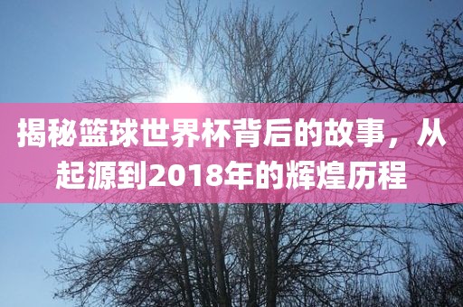 揭秘眉山市正发家政服务有限公司篮球世界杯背后的故事，从起源到2018年的辉煌历程