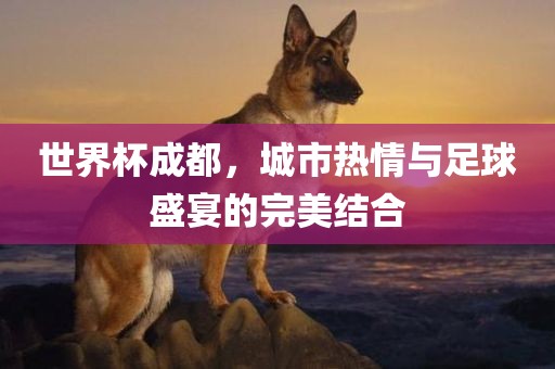 世界杯成都，城市热情与足球盛宴的完美结合
