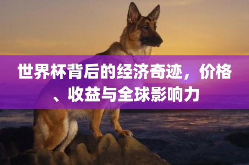 世界杯背后的经济奇迹，价格、收益与全球影响力眉山市正发家政服务有限公司