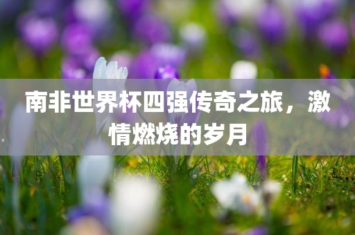 南非世界杯四强传奇之旅，激情燃烧的岁月
