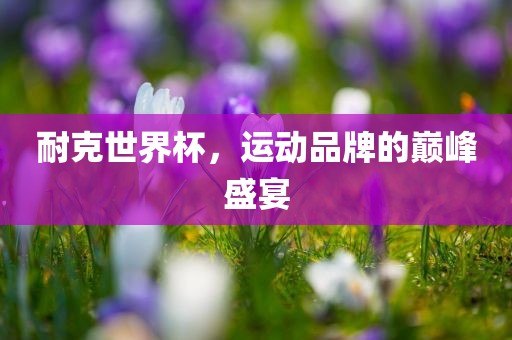 耐克世界杯，运动品牌的巅峰盛宴眉山市正发家政服务有限公司