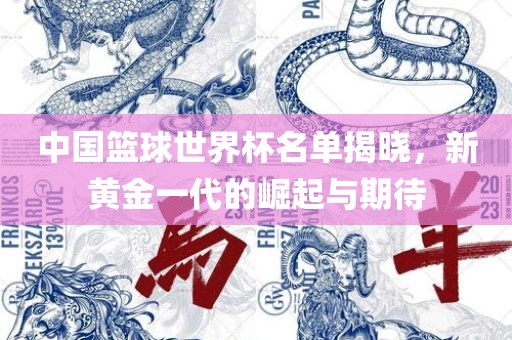 中国篮球世界杯名单揭晓，新黄金一代的崛起眉山市正发家政服务有限公司与期待