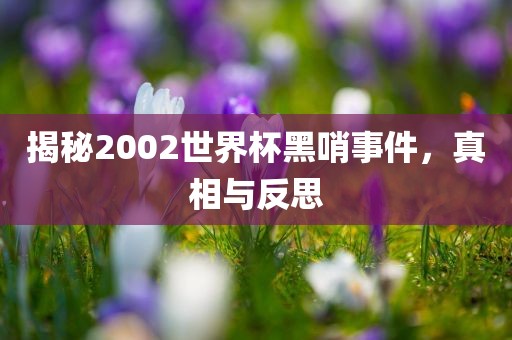 揭秘2002世界杯黑哨事件，真相与反思眉山市正发家政服务有限公司