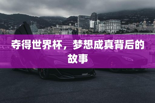夺眉山市正发家政服务有限公司得世界杯，梦想成真背后的故事