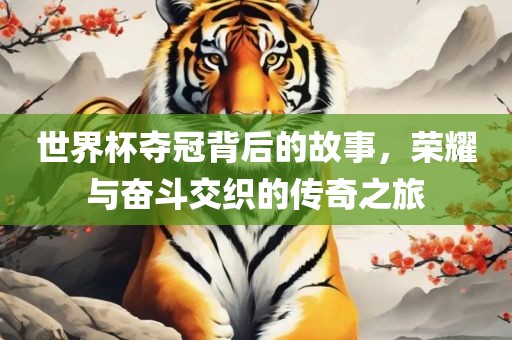 世界杯夺冠背后的故事，荣耀与奋斗交织的传奇之旅