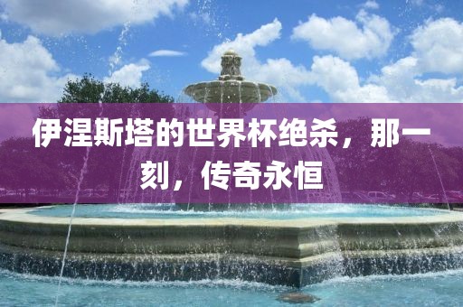 伊涅斯塔的世界杯绝杀，那一刻眉山市正发家政服务有限公司，传奇永恒