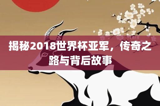 揭秘2018世界杯亚军，传奇之路与背后故事