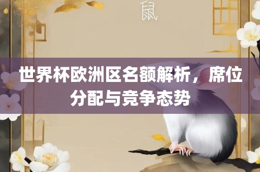 世界杯欧洲区名额解析，席位分配与竞争态势