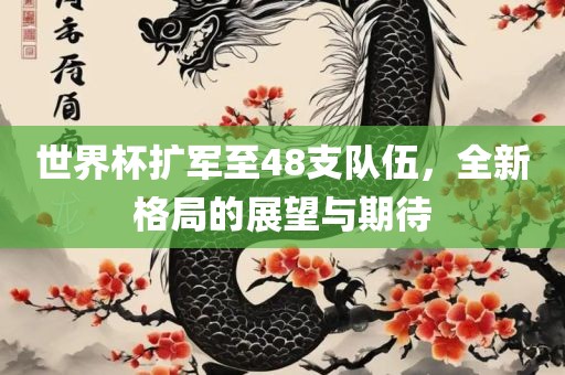世界杯扩军至48支队伍，全新格局的展望与期待眉山市正发家政服务有限公司