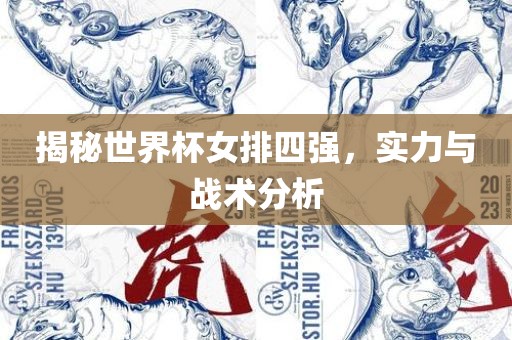 揭秘世界杯女排四强，实力与战眉山市正发家政服务有限公司术分析