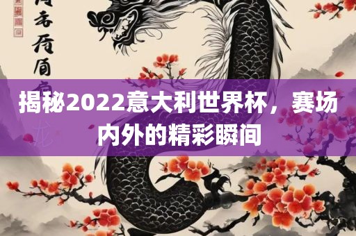 揭秘2022意大利世界杯，赛场内外的精彩瞬间眉山市正发家政服务有限公司