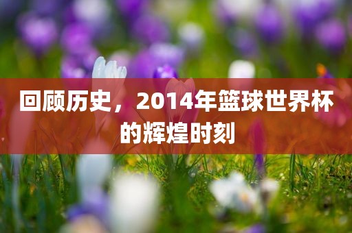回顾历史，2眉山市正发家政服务有限公司014年篮球世界杯的辉煌时刻