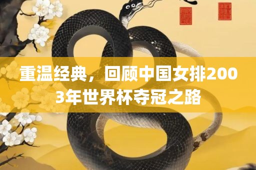 重温经典，回顾中国女排2003年世界杯夺冠之路眉山市正发家政服务有限公司