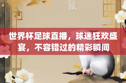 世界杯足球直播，球迷狂欢盛宴，不容错过的精彩瞬间