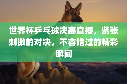 世界杯乒乓球决赛直播，紧张刺激的对决，不容错过的精彩瞬间