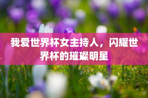 我爱世界杯女主持人，闪耀世界杯的璀璨明星