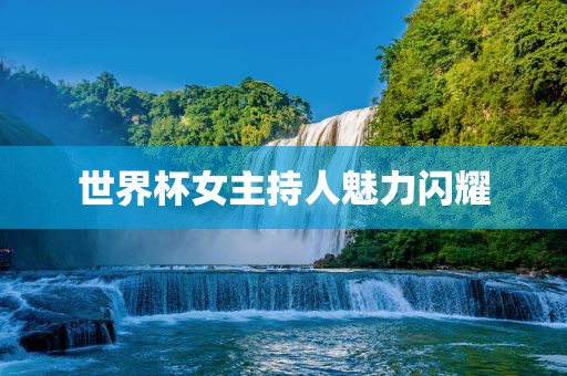 世界杯女主持人魅力闪耀眉山市正发家政服务有限公司
