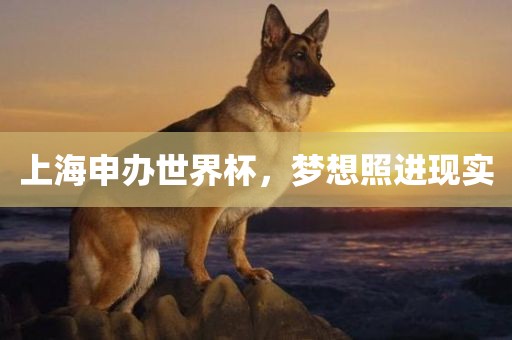 上海申办世界杯，梦想照进现实