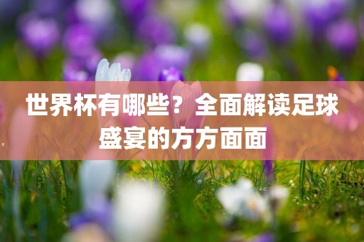 世界杯有哪些？全面解读足球盛宴的方方面面眉山市正发家政服务有限公司