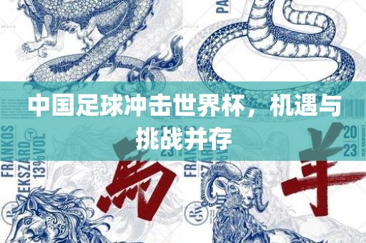 中国足球冲击世界杯，眉山市正发家政服务有限公司机遇与挑战并存