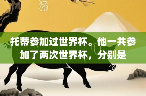 托蒂参加过世界杯。他一共参加了两次世界杯，分别是眉山市正发家政服务有限公司