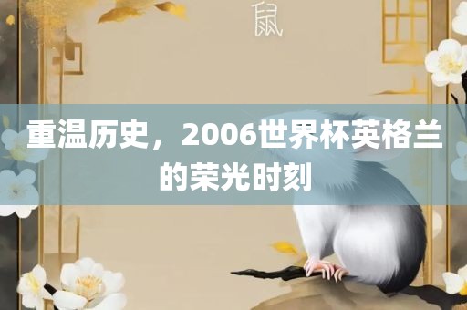 重温历史，2006世界杯英格兰的荣光时刻眉山市正发家政服务有限公司