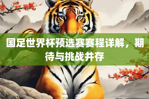 国足世界杯预选赛赛程详解，期待与挑战并存眉山市正发家政服务有限公司