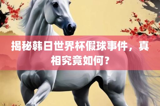 揭秘韩日世界杯假球事件，真相究竟如何？