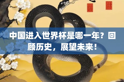 中国进入世界杯是哪一年？回顾历史，展望未来！