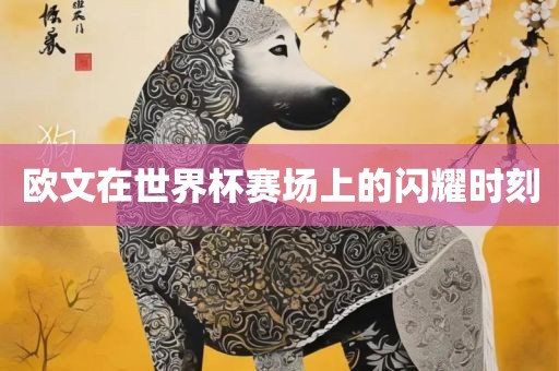 欧文在世界杯赛场上的闪耀时刻
