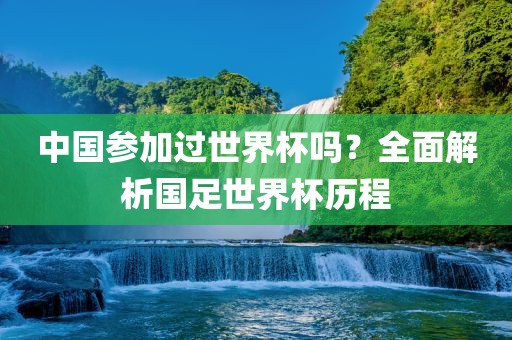 中国参加过世界杯吗？全面解析国足世界杯历程眉山市正发家政服务有限公司