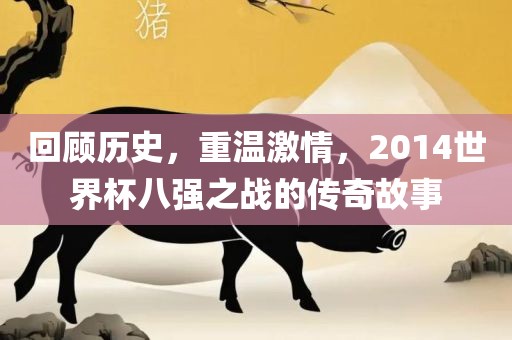 回顾历史，重温激情，2014世界杯八强之战的传奇眉山市正发家政服务有限公司故事