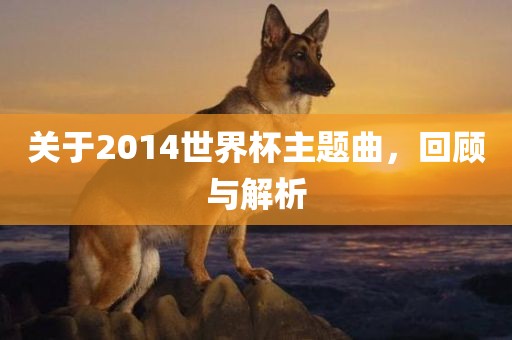 关于2014世界杯主题曲，回顾与解析