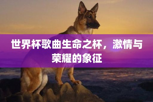 世界杯歌曲生命之杯，激情与荣耀的象征