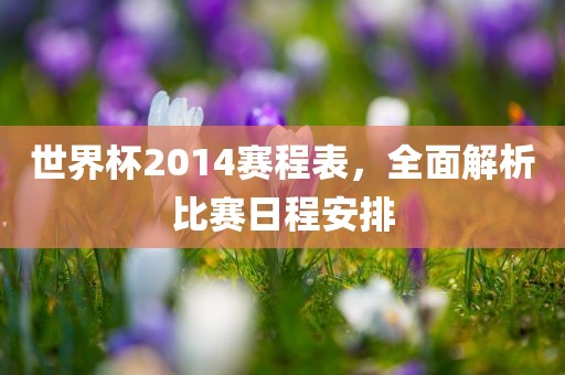 世界杯2014赛程表，全面解析比赛日程安排眉山市正发家政服务有限公司