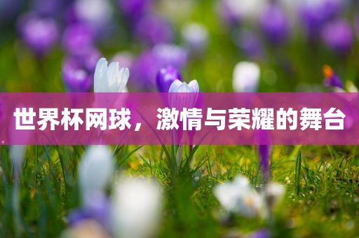 世界杯网球，激情与荣耀的舞台眉山市正发家政服务有限公司