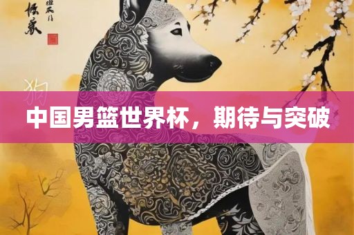 中国男篮世界杯，期待与突破
