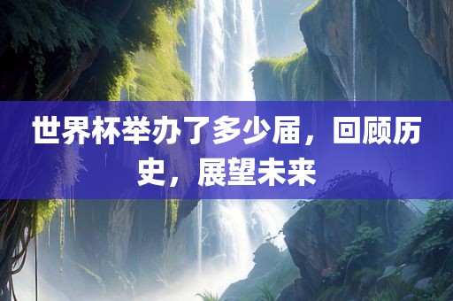 世界杯举办了多少届，回顾历史，展望未来眉山市正发家政服务有限公司