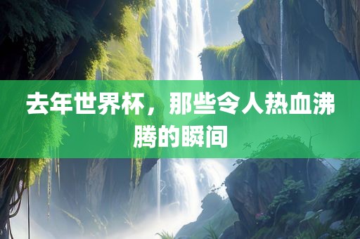 去年世界杯，那些令人热血沸腾的瞬间眉山市正发家政服务有限公司