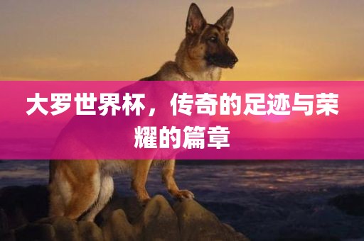 大罗世界杯，传奇的足迹与荣耀的篇章