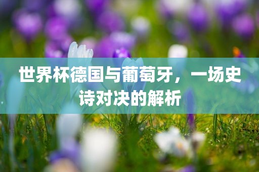 世界杯德国与葡萄牙，一场史诗对决的解析