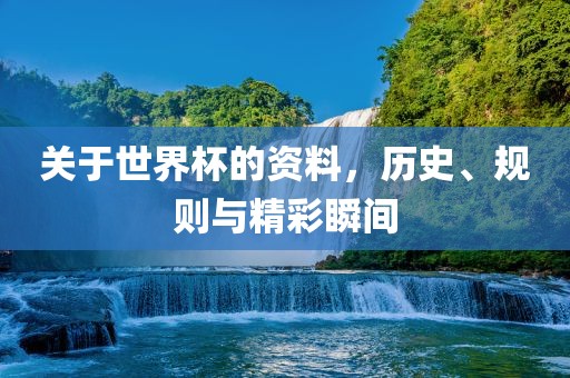 关于世界杯的资料，历史、规则与精彩瞬间眉山市正发家政服务有限公司
