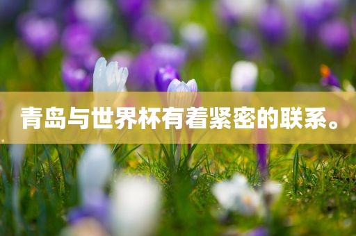 青岛与世界杯有着紧密的联系。眉山市正发家政服务有限公司
